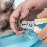Soft Cat Grooming Bag